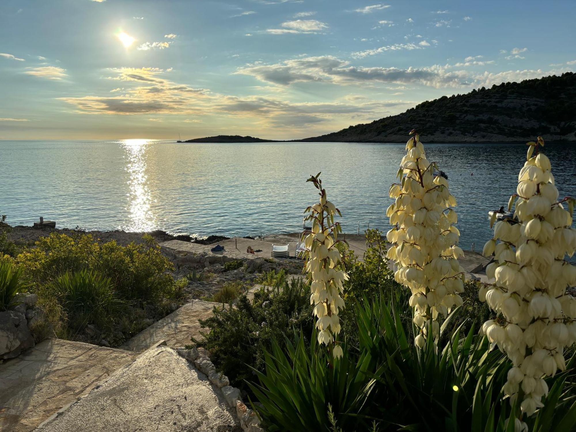 Direkt Am Meer-Apartments Puntaplanka Rogoznica  Exteriér fotografie